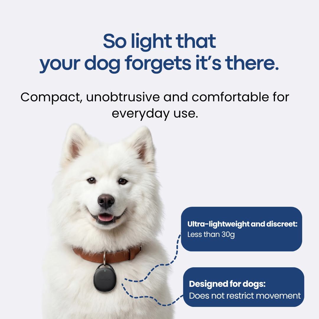 GPS Dog Tracker with No Subscription - Mansuri