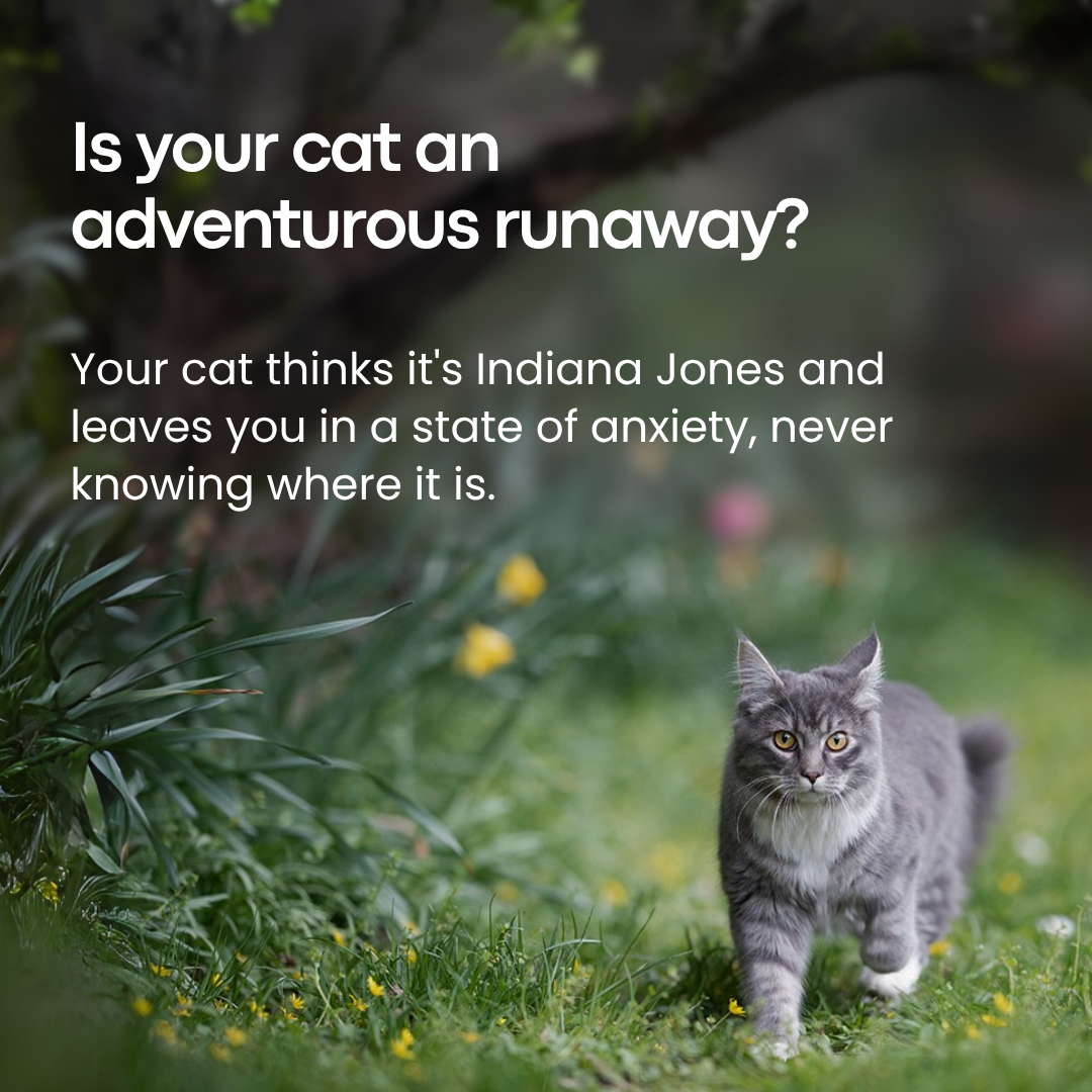 GPS Tracker for Cats No Subscription Required - Mansuri